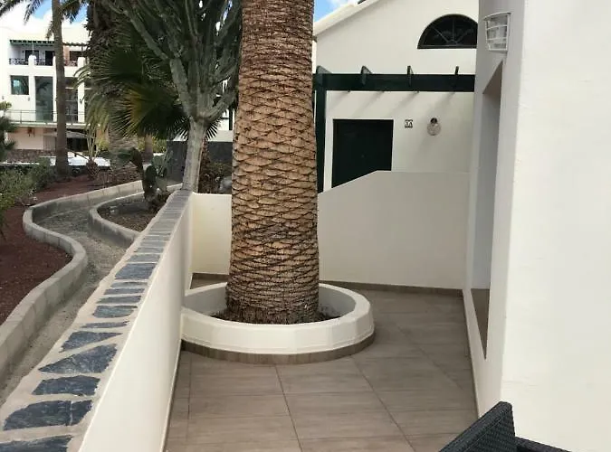 Nueva York * 科斯塔特吉塞